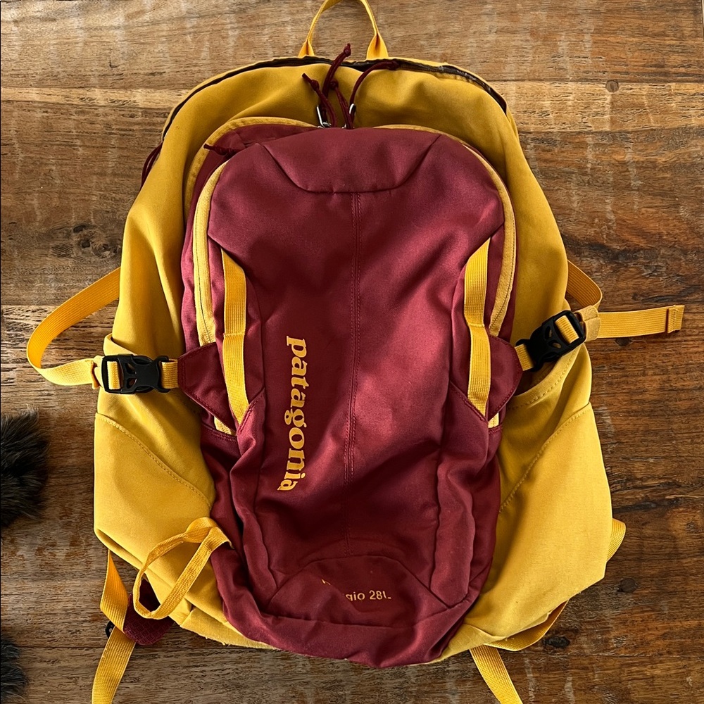 Patagonia Burgundy and Mustard Refugio 28L backpack